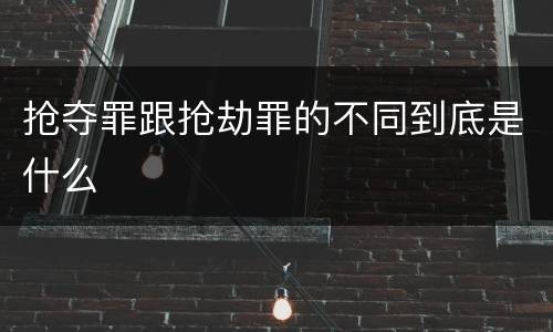 抢夺罪跟抢劫罪的不同到底是什么