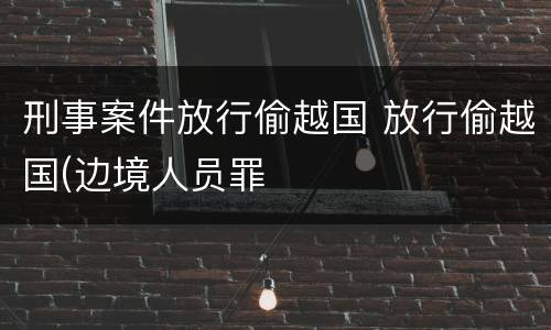 刑事案件放行偷越国 放行偷越国(边境人员罪