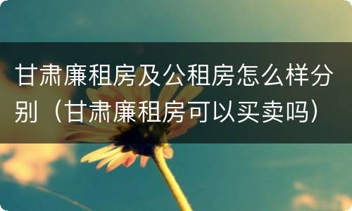 甘肃廉租房及公租房怎么样分别（甘肃廉租房可以买卖吗）