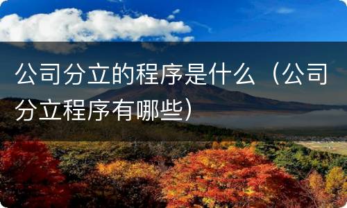 公司分立的程序是什么（公司分立程序有哪些）
