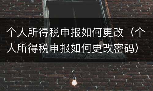 个人所得税申报如何更改（个人所得税申报如何更改密码）
