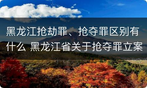 黑龙江抢劫罪、抢夺罪区别有什么 黑龙江省关于抢夺罪立案标准