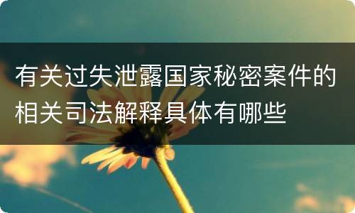有关过失泄露国家秘密案件的相关司法解释具体有哪些