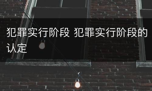 犯罪实行阶段 犯罪实行阶段的认定