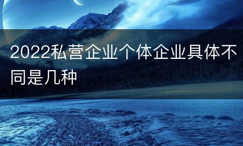 2022私营企业个体企业具体不同是几种