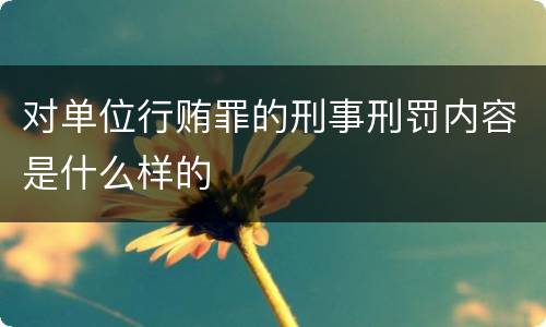对单位行贿罪的刑事刑罚内容是什么样的