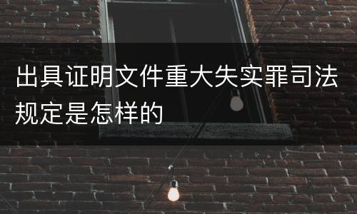 出具证明文件重大失实罪司法规定是怎样的