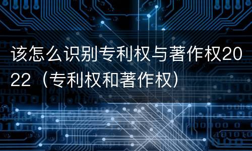 该怎么识别专利权与著作权2022（专利权和著作权）