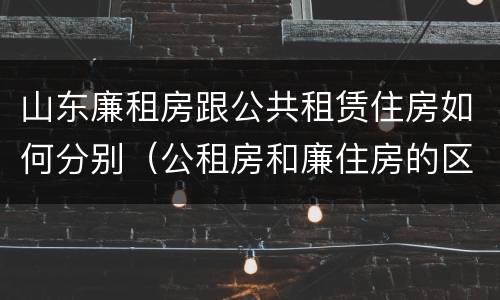 山东廉租房跟公共租赁住房如何分别（公租房和廉住房的区别）