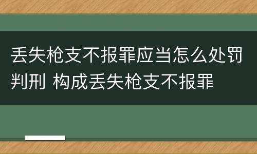 丢失枪支不报罪应当怎么处罚判刑 构成丢失枪支不报罪