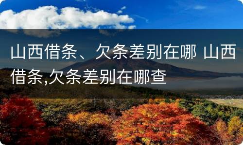山西借条、欠条差别在哪 山西借条,欠条差别在哪查