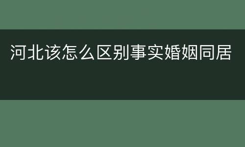 河北该怎么区别事实婚姻同居