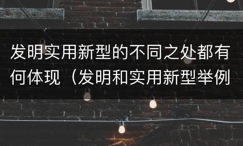 发明实用新型的不同之处都有何体现（发明和实用新型举例）