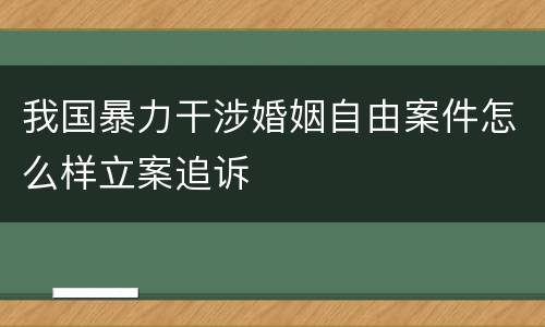 我国暴力干涉婚姻自由案件怎么样立案追诉