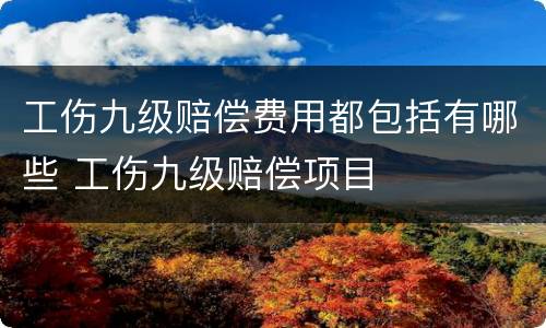工伤九级赔偿费用都包括有哪些 工伤九级赔偿项目