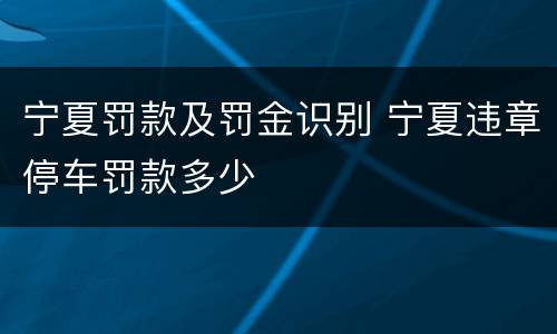 宁夏罚款及罚金识别 宁夏违章停车罚款多少