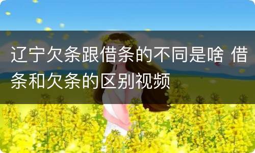 辽宁欠条跟借条的不同是啥 借条和欠条的区别视频