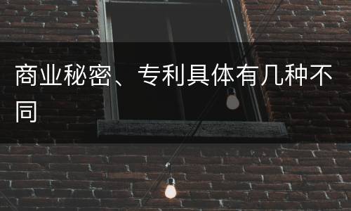 商业秘密、专利具体有几种不同