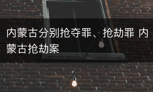 内蒙古分别抢夺罪、抢劫罪 内蒙古抢劫案