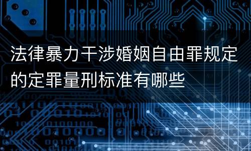 法律暴力干涉婚姻自由罪规定的定罪量刑标准有哪些