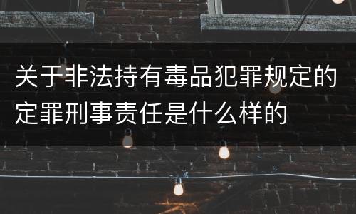 关于非法持有毒品犯罪规定的定罪刑事责任是什么样的