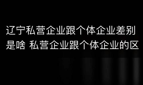 辽宁私营企业跟个体企业差别是啥 私营企业跟个体企业的区别