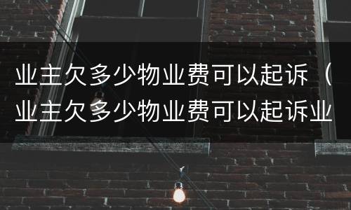 业主欠多少物业费可以起诉（业主欠多少物业费可以起诉业委会）