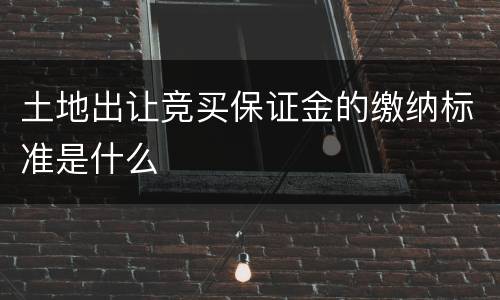 土地出让竞买保证金的缴纳标准是什么