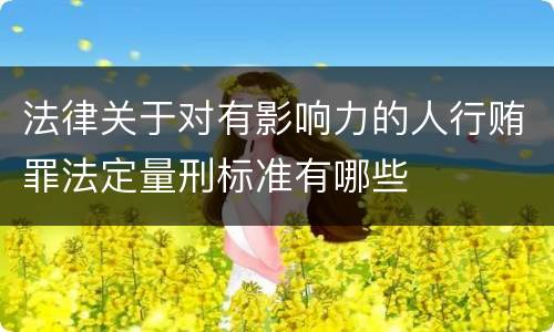 法律关于对有影响力的人行贿罪法定量刑标准有哪些