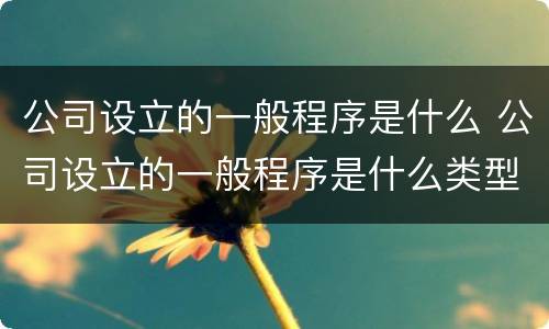 公司设立的一般程序是什么 公司设立的一般程序是什么类型