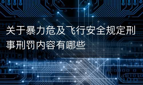 关于暴力危及飞行安全规定刑事刑罚内容有哪些