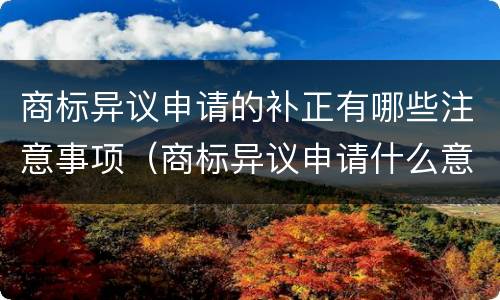 商标异议申请的补正有哪些注意事项（商标异议申请什么意思）
