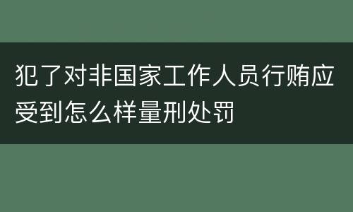 犯了对非国家工作人员行贿应受到怎么样量刑处罚