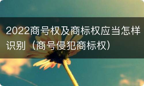 2022商号权及商标权应当怎样识别（商号侵犯商标权）