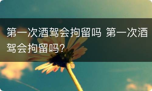 第一次酒驾会拘留吗 第一次酒驾会拘留吗?