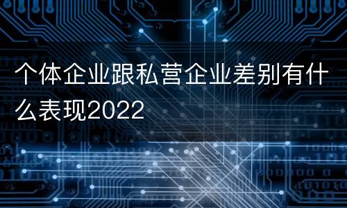 个体企业跟私营企业差别有什么表现2022