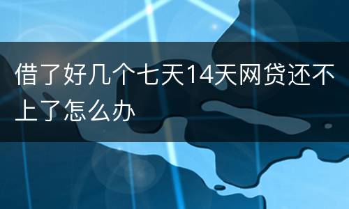 借了好几个七天14天网贷还不上了怎么办