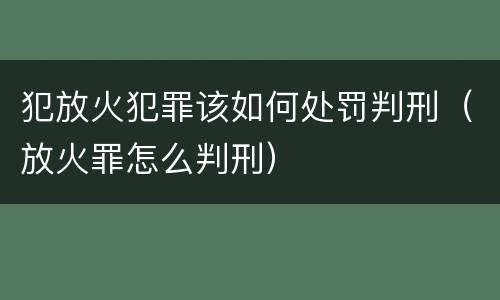 犯放火犯罪该如何处罚判刑（放火罪怎么判刑）