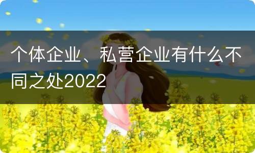 个体企业、私营企业有什么不同之处2022