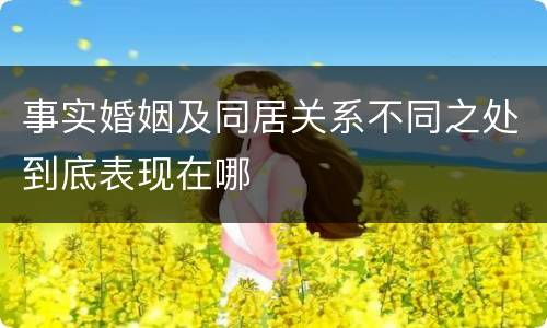 事实婚姻及同居关系不同之处到底表现在哪