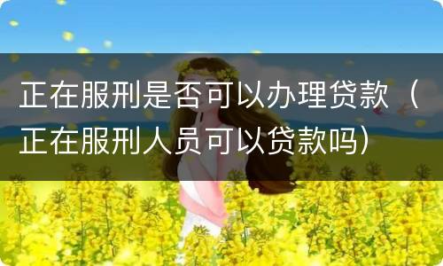 正在服刑是否可以办理贷款（正在服刑人员可以贷款吗）