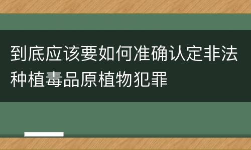 到底应该要如何准确认定非法种植毒品原植物犯罪