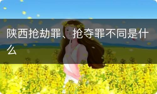 陕西抢劫罪、抢夺罪不同是什么