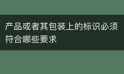 产品或者其包装上的标识必须符合哪些要求