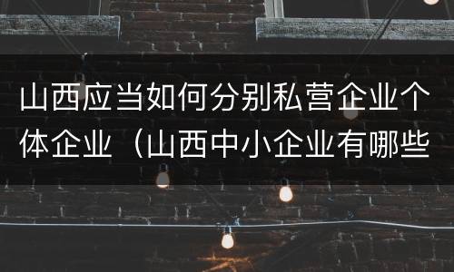 山西应当如何分别私营企业个体企业（山西中小企业有哪些）