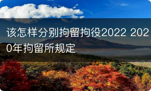 该怎样分别拘留拘役2022 2020年拘留所规定