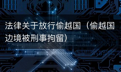 法律关于放行偷越国（偷越国边境被刑事拘留）