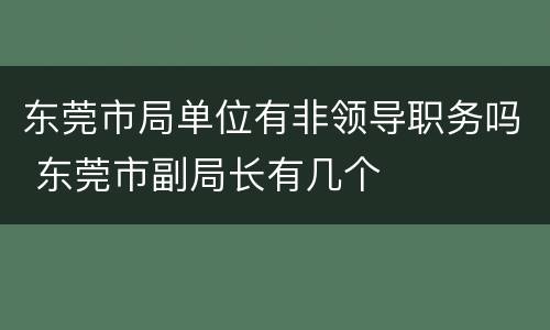 东莞市局单位有非领导职务吗 东莞市副局长有几个