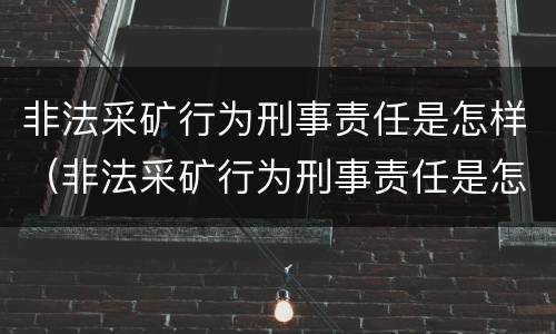 非法采矿行为刑事责任是怎样（非法采矿行为刑事责任是怎样定义的）