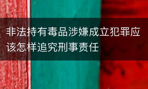非法持有毒品涉嫌成立犯罪应该怎样追究刑事责任